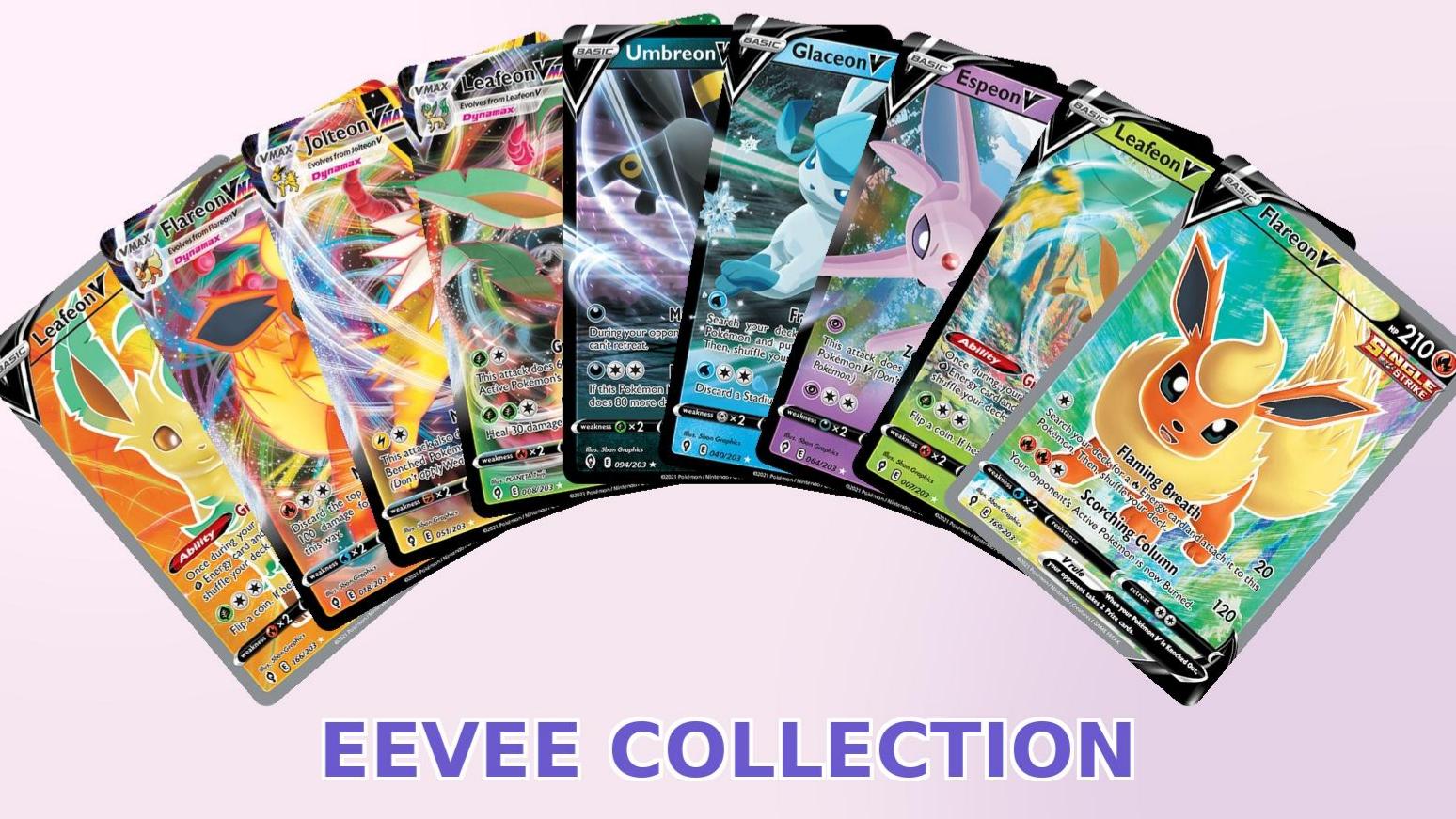 Eevee Bundle